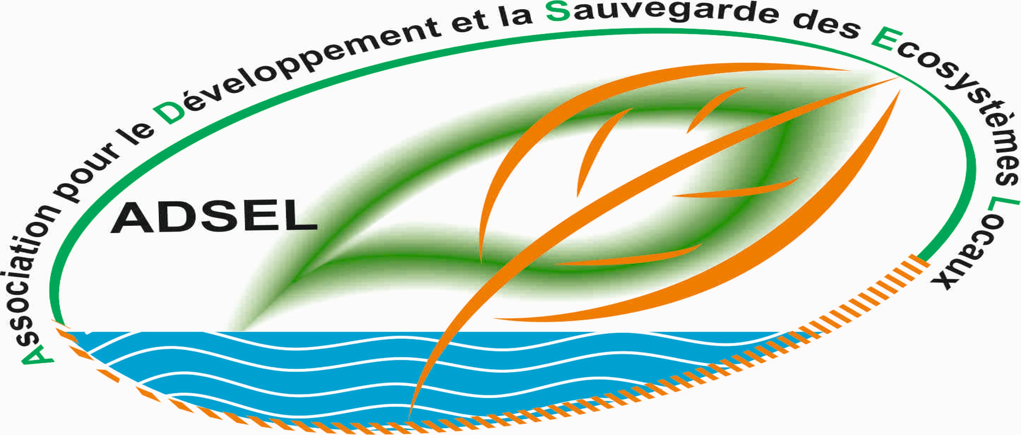 Accueil | ASSOCIATION (ADSEL)